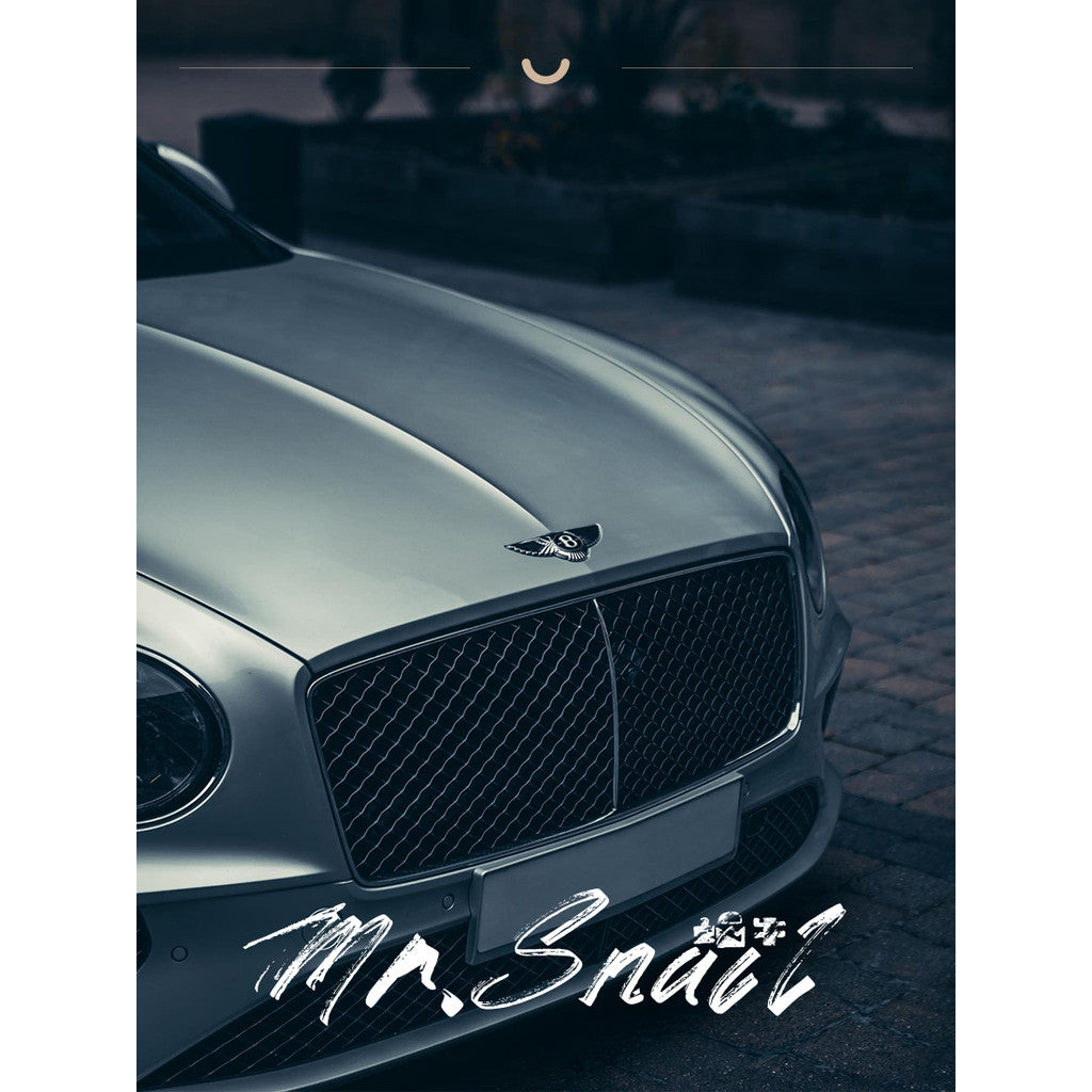 📸 Mr.231 Moody Dark Mood - Lightroom Preset (Capcut, FCP, Mobile, PS)