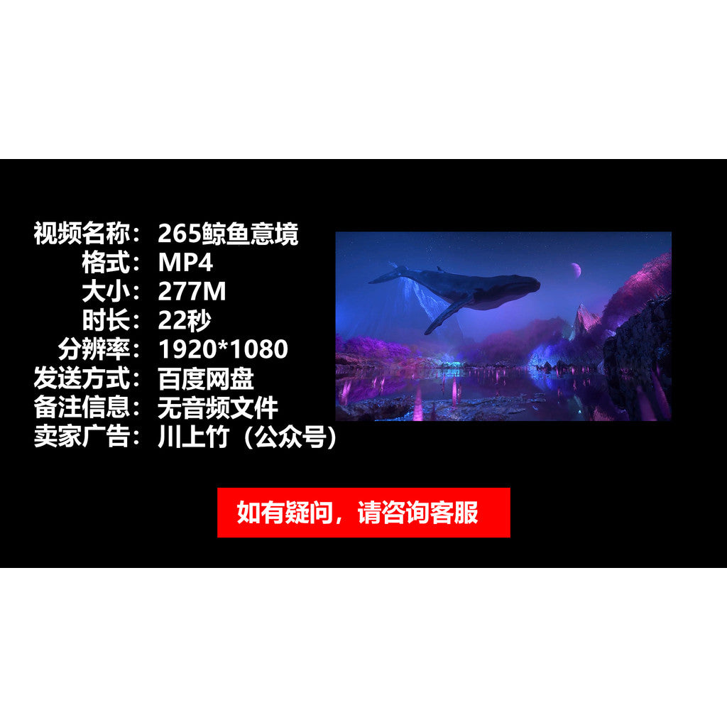 🎥 VJ LOOP | Whale Ocean Dreamy Hologram Immersive Stage Visuals 🐋🌊✨ [ MICHIGO STUDIO ]