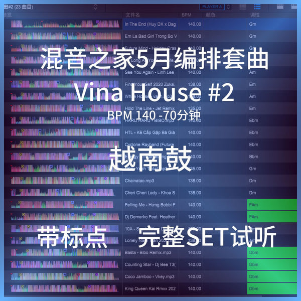 VinaHouse DJ Set 🇻🇳 May Edition | Seamless Edits | Cue Ready [MICHIGO STUDIO]
