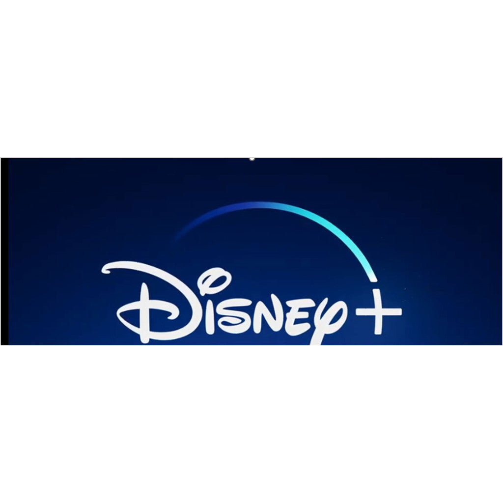 POWERPOINT 247 | 🏰 Disney Theme Disney Character Brand Introduction Event Planning