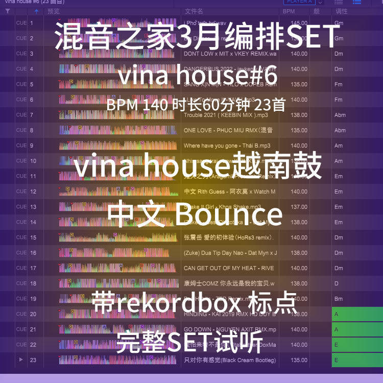 VinaHouse DJ Set 🇻🇳 Rekordbox Ready | Cue Points [MICHIGO STUDIO]