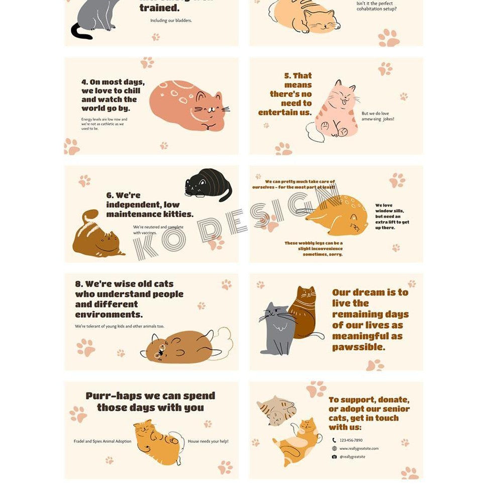POWERPOINT TEMPLATE 250 | 🖌️ Hand-Drawn Cute Fun Advocacy for Pet Adoption & Animal Care Stray Cat PPT Template