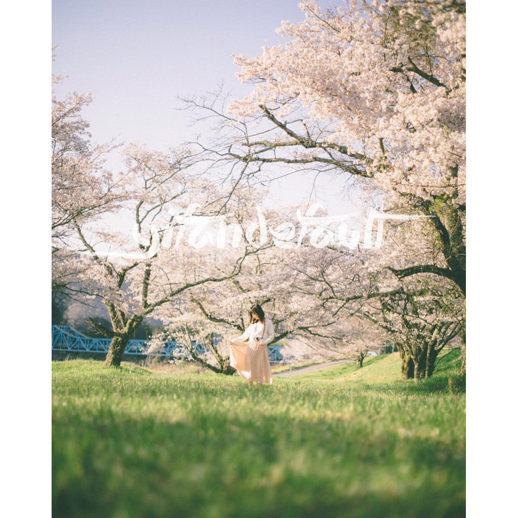 📸 Pixelcake Beihai Lion Japanese Fresh Film - Lightroom Preset (3 Types, Mobile, Capcut, PS, PhaseOne)