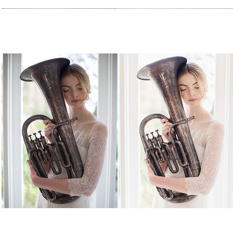 📸 PS/LR Wedding Photography Post-tones – Lightroom Preset (ACR Filter, Bridal Portrait)