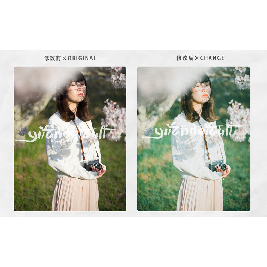 📸 Pixelcake Akiha Satoru Light Green Japanese Film - Lightroom Preset (12 Types, Mobile, PS, PhaseOne)