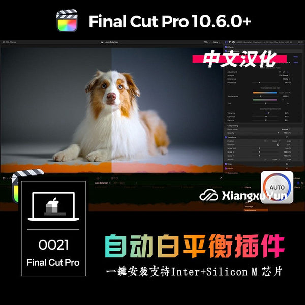 FCPX | 🎛️ Auto Balancer – Automatic White Balance & Color Tone Plugin for Final Cut Pro (M1 Supported) [MICHIGO STUDIO]