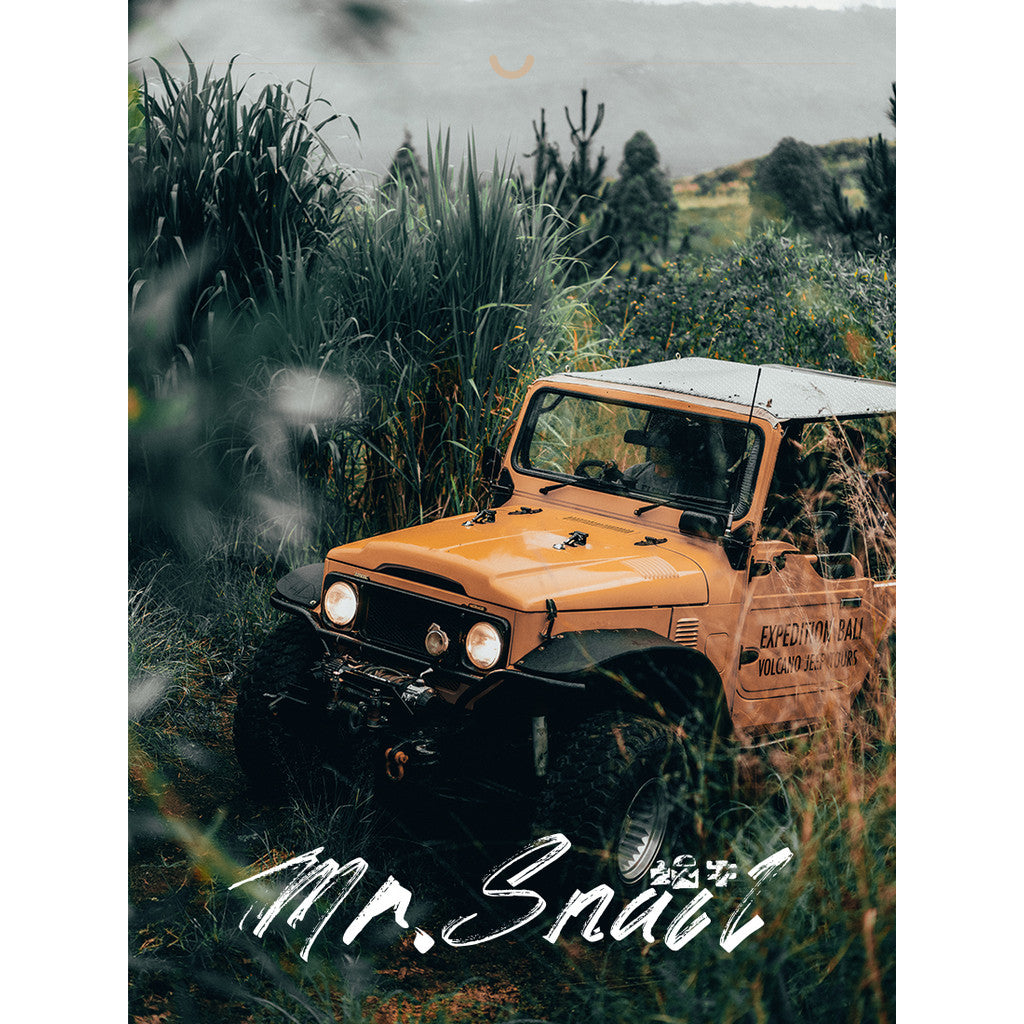 📸 Mr.232 Green Moody Capcut - Lightroom Preset (PS, PR, YouTube)