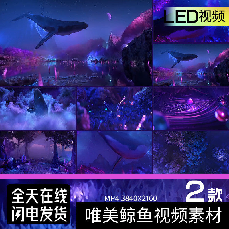 🎥 VJ LOOP | Dreamy Whale Immersive KTV Stage LED Background 🐋💫 [ MICHIGO STUDIO ]