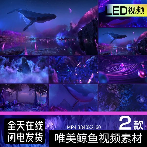 🎥 VJ LOOP | Dreamy Whale Immersive KTV Stage LED Background 🐋💫 [ MICHIGO STUDIO ]