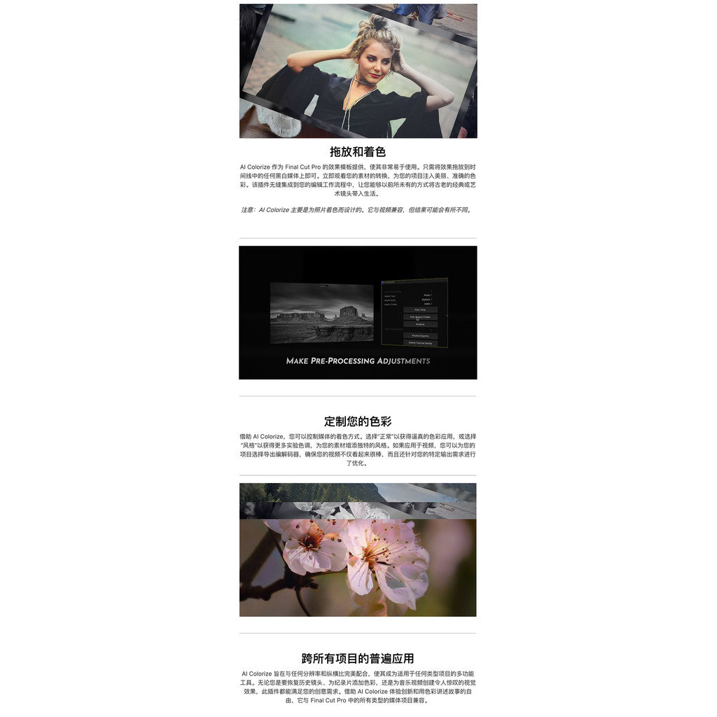 🎨 FCPX Plugin – AI Colorize | Black & White to Color Auto Colorizer Tool 🧠✨ [MICHIGO STUDIO]