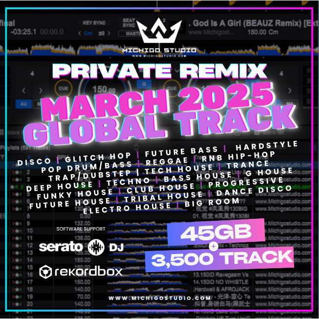 March 2025 Pro DJ Songlist 📀 3500 Global Tracks [MICHIGO STUDIO]