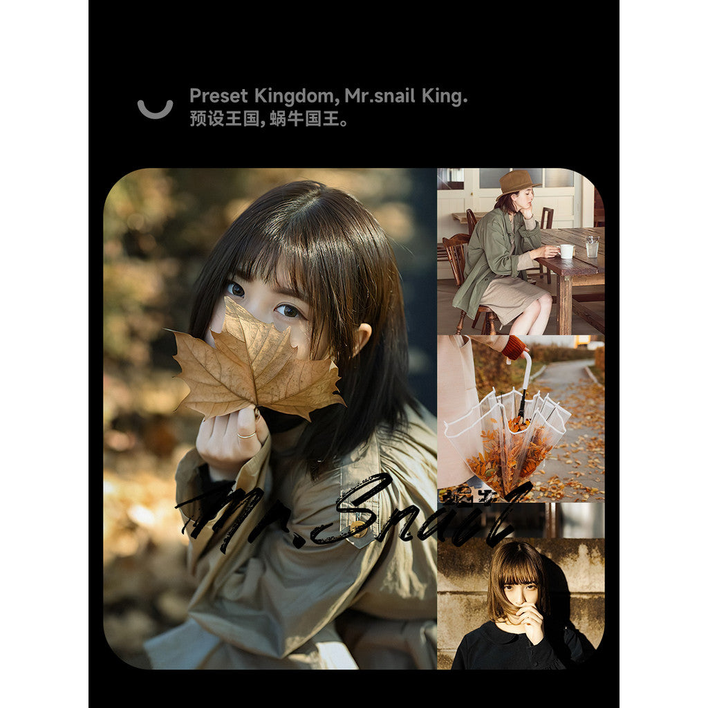 📸 Mr.319 Kodak Movie Vintage Film - Lightroom Preset (PR, Capcut, PS)