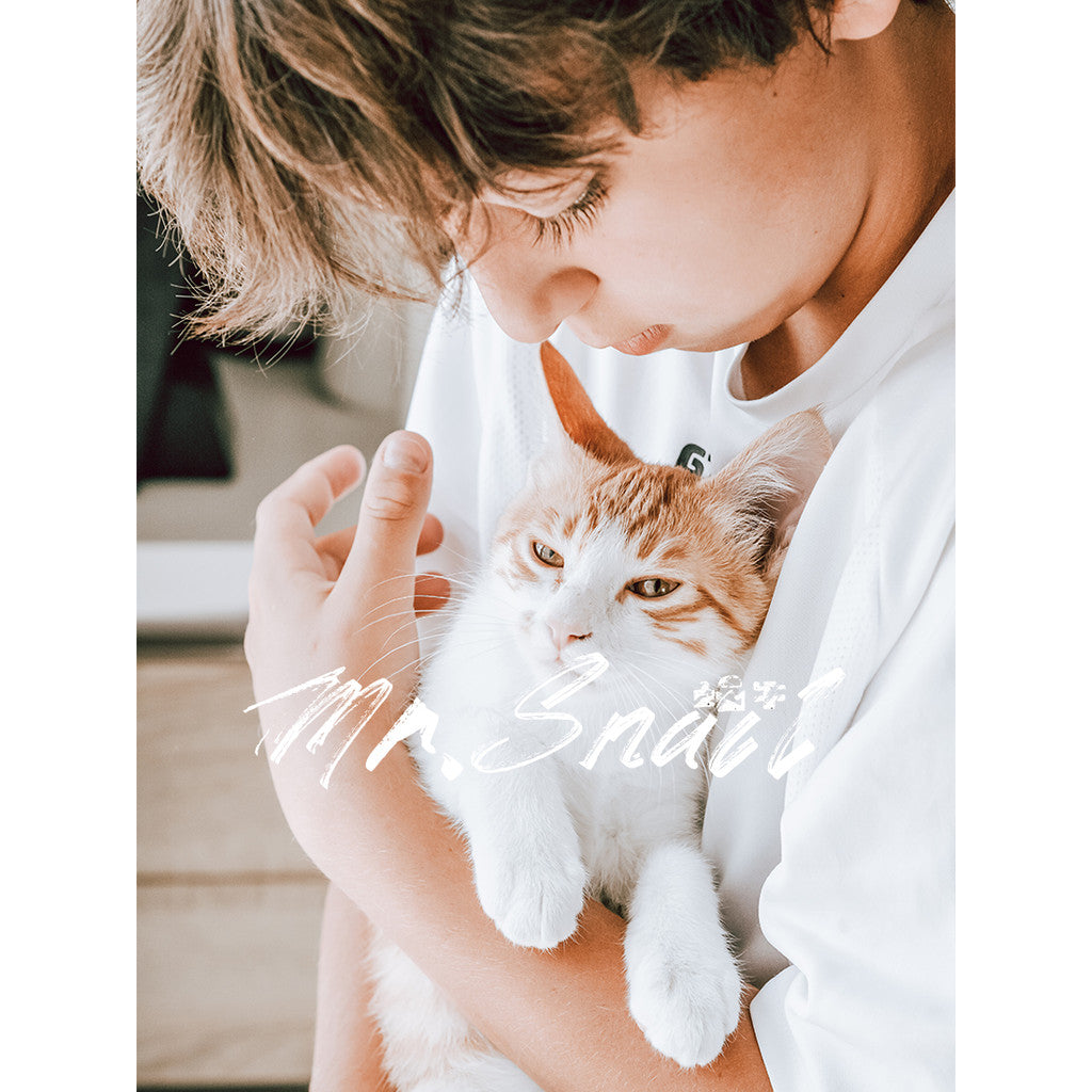 📸 Mr.240 Bright Indoor - Lightroom Preset (PS, Capcut, PR, FCPX)