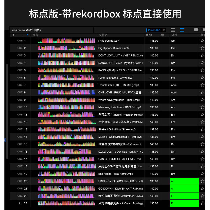 VinaHouse DJ Set 🇻🇳 Rekordbox Ready | Cue Points [MICHIGO STUDIO]