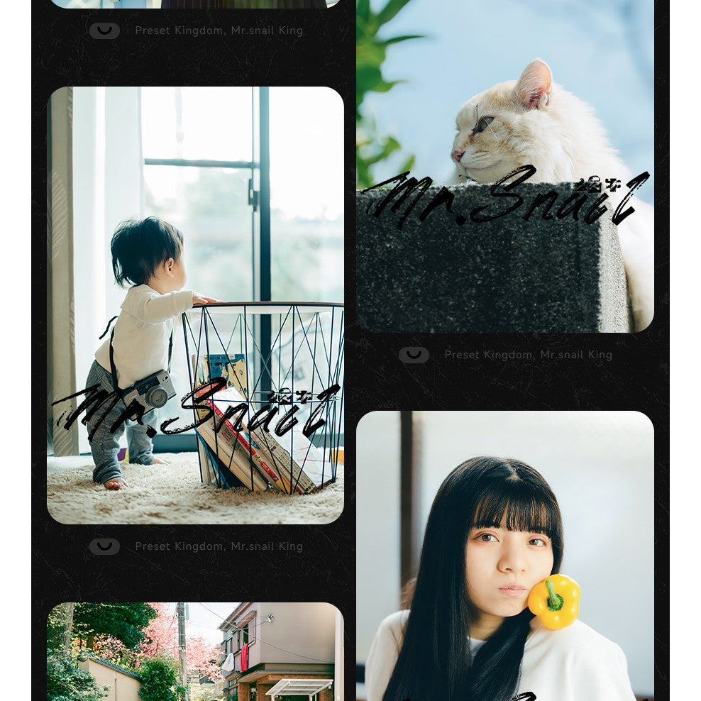 📸 Mr.320 LR Simulate Classic Kodak - Lightroom Preset (Vintage, Documentary, Street, PS)