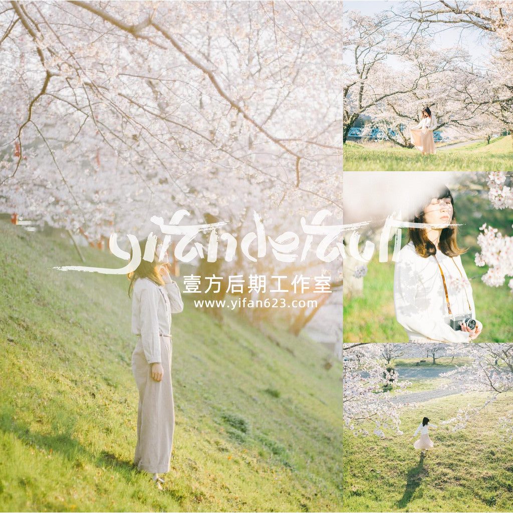 📸 Pixelcake Beihai Lion Japanese Fresh Film - Lightroom Preset (3 Types, Mobile, Capcut, PS, PhaseOne)