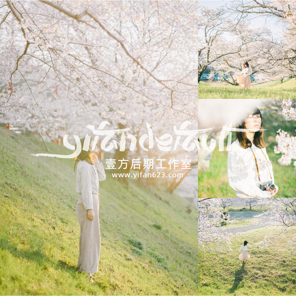 📸 Pixelcake Beihai Lion Japanese Fresh Film - Lightroom Preset (3 Types, Mobile, Capcut, PS, PhaseOne)