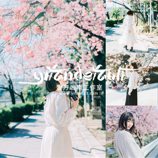 📸 Pixelcake Akiha Satoru Light Green Japanese Film - Lightroom Preset (12 Types, Mobile, PS, PhaseOne)