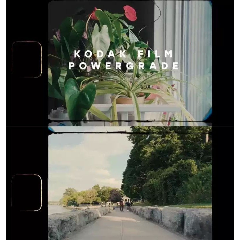 🎞️ 41x DaVinci PowerGrade Templates – Cinematic Film Color Grading Nodes 🎬694  [MICHIGO STUDIO]