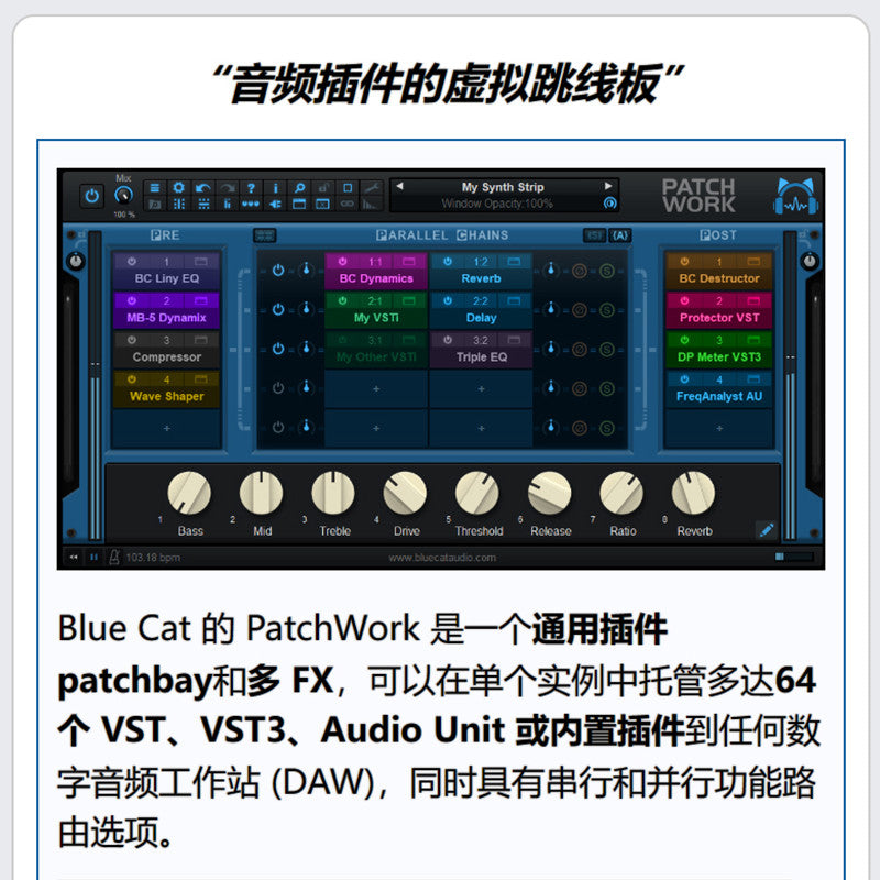🔗 Blue Cats PatchWork | Plugin Host & Bridging Tool for Win & Mac [MICHIGO STUDIO]