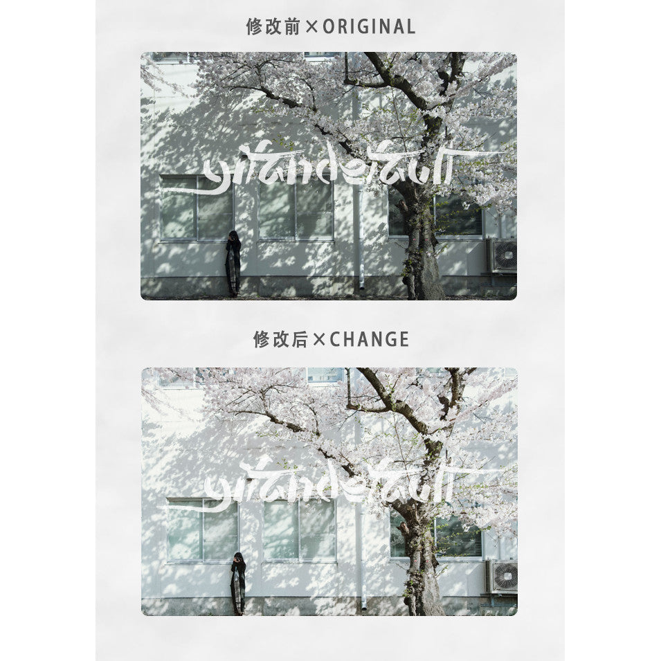📸 Pixelcake Preset Niigata Yuki – Lightroom Preset (9 Sets, Mobile, PS, PhaseOne)
