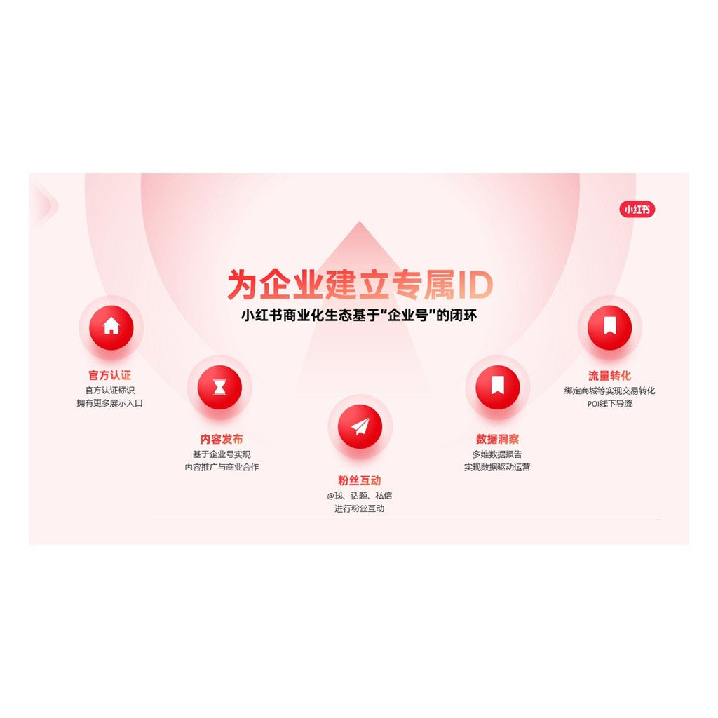 POWERPOINT 255 | 📱 31 Pages Internet Xiaohongshu Business Plan Brand Introduction