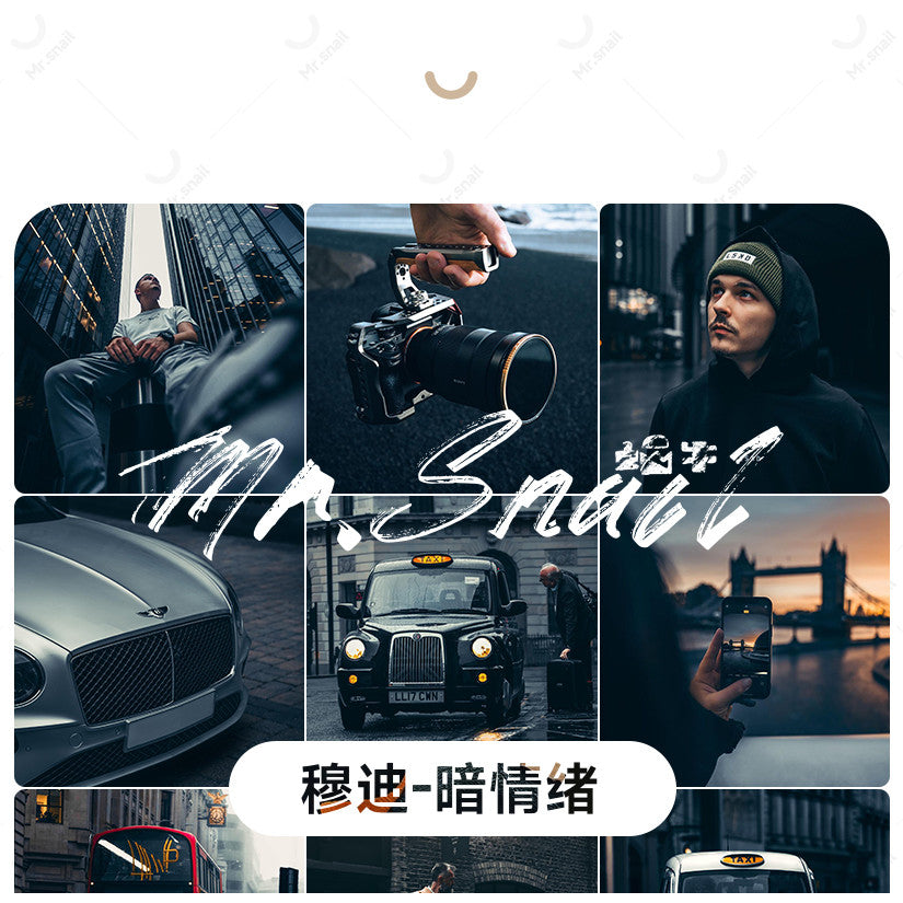 📸 Mr.231 Moody Dark Mood - Lightroom Preset (Capcut, FCP, Mobile, PS)