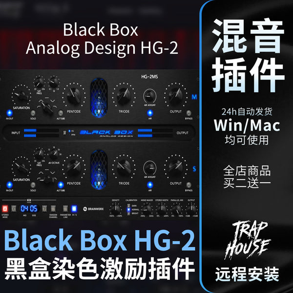 🎛 Black Box Analog Design HG-2 | Mixing & Mastering Tube Saturation & Harmonic Exciter Plugin [MICHIGO STUDIO]