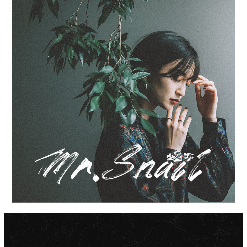 📸 Mr.222 Japanese Vintage Film - Lightroom Preset (PR, PS, DaVinci, Capcut, FCPX)