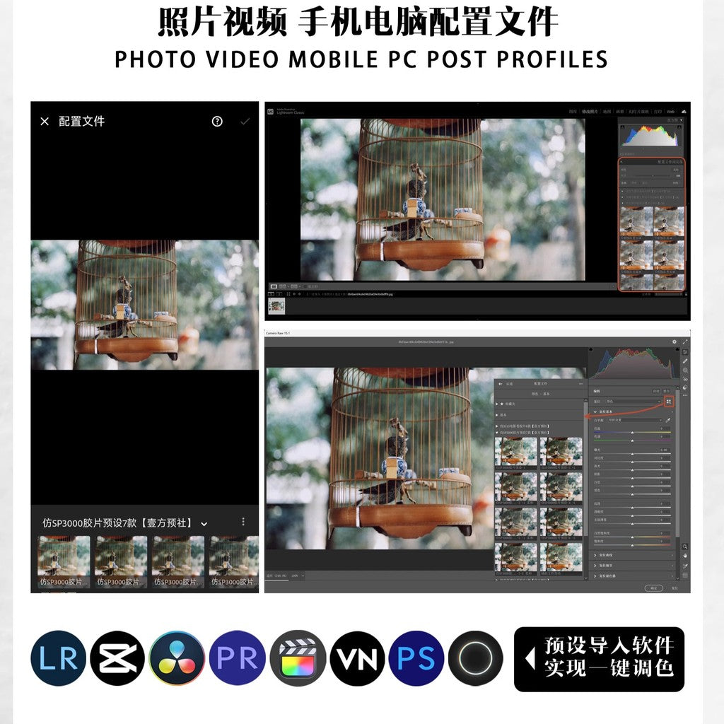 📸 Pixelcake PhaseOne Preset Wedding – Lightroom Preset (6 Sets, Mobile, PR, PS)