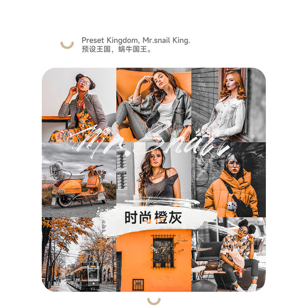 📸 Mr.236 Fashion Orange Gray - Lightroom Preset (PS, Capcut, PR, DaVinci, FCPX)