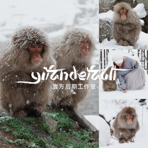 📸 LR Preset Simulate Classic Negative – Lightroom Preset (4 Sets, Pixelcake, PS, PhaseOne, Capcut)