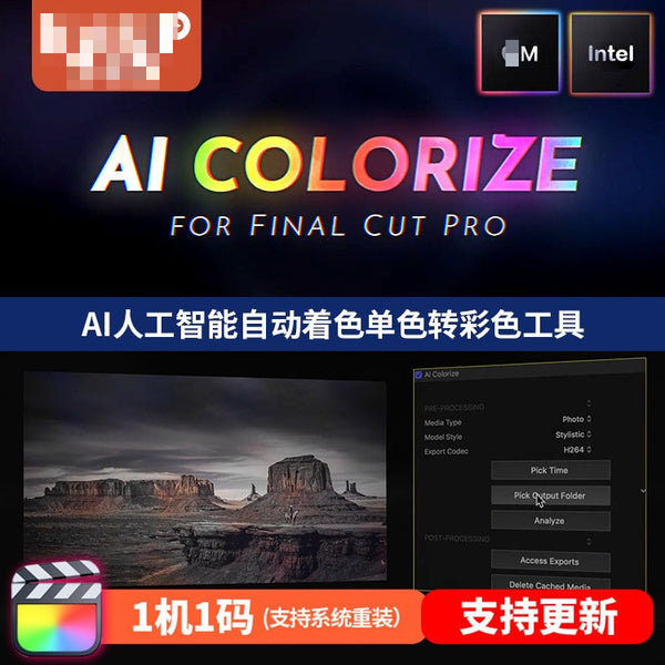 🎨 FCPX Plugin – AI Colorize | Black & White to Color Auto Colorizer Tool 🧠✨ [MICHIGO STUDIO]