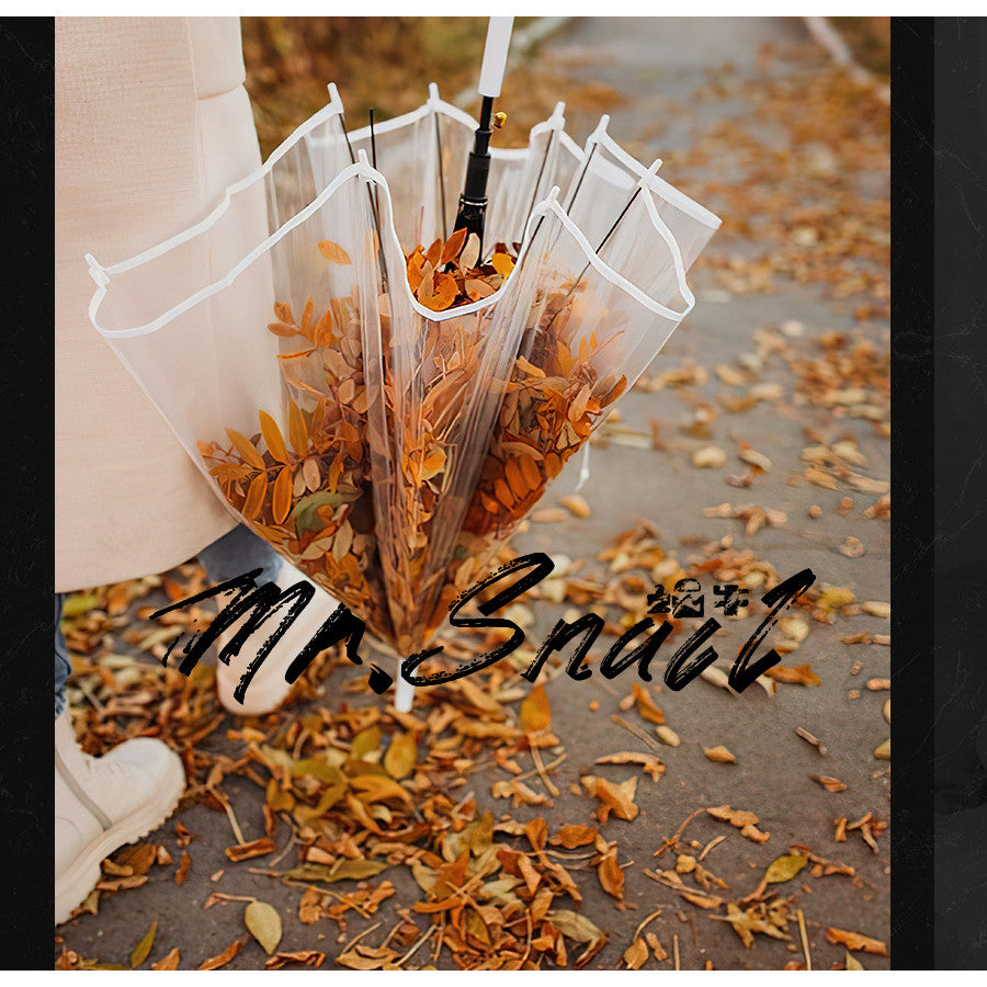 📸 Mr.319 Kodak Movie Vintage Film - Lightroom Preset (PR, Capcut, PS)