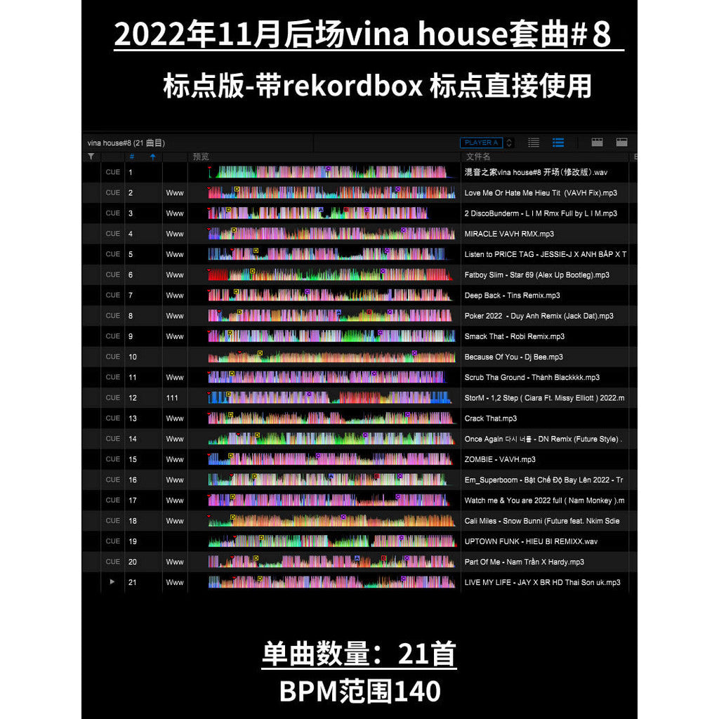 November 2022 VinaHouse DJ Set 🥁 Late Night Club Flow [MICHIGO STUDIO]