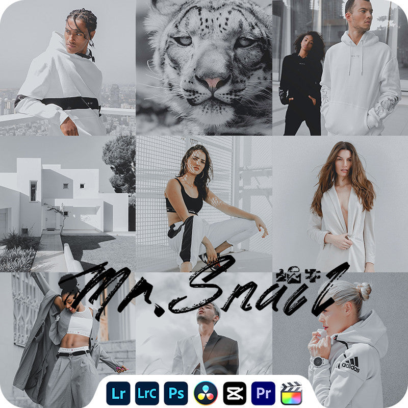 📸 Mr.234 Cold Chic White - Lightroom Preset (FCPX, Capcut, PS, Portrait, Wedding)