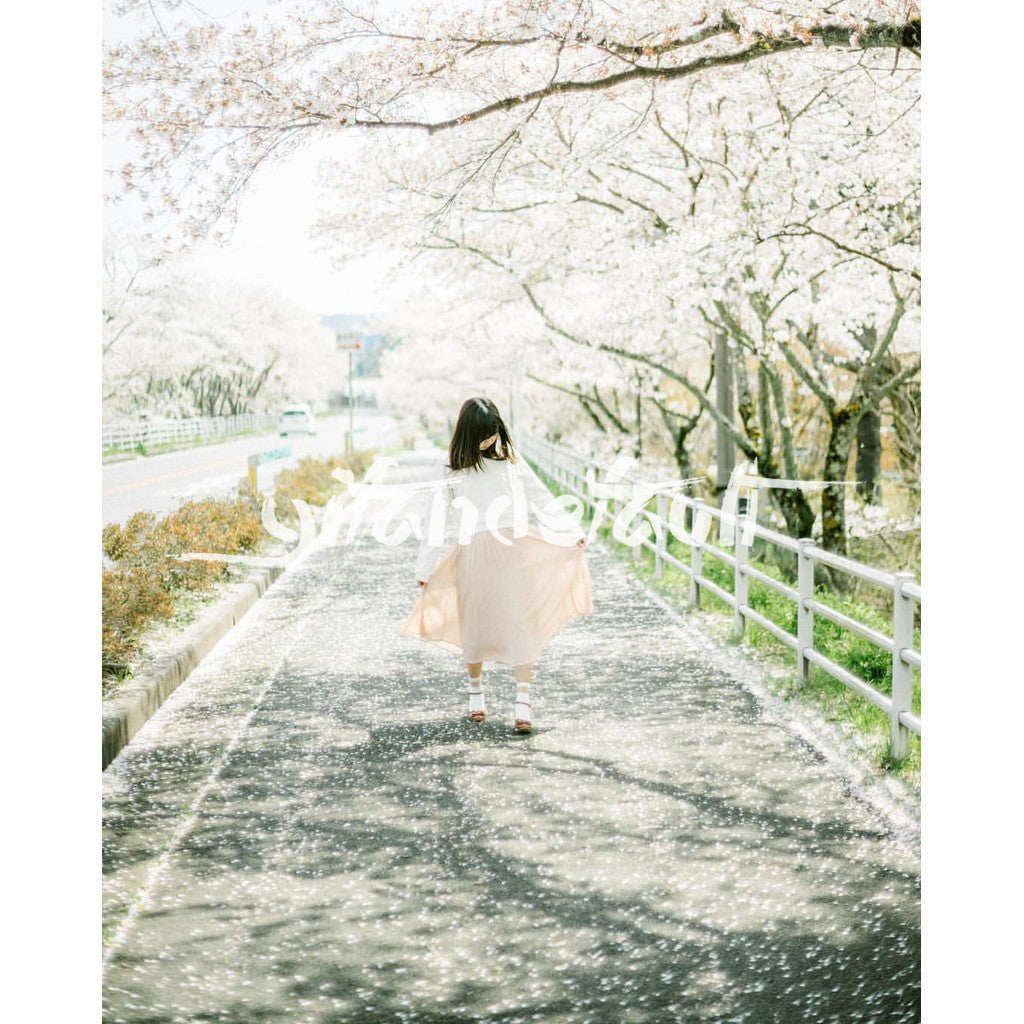 📸 Pixelcake Beihai Lion Japanese Fresh Film - Lightroom Preset (3 Types, Mobile, Capcut, PS, PhaseOne)