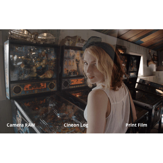 📽️ FilmConvert Nitrate (CN) | Digital to Film Look Plugin [MICHIGO STUDIO]