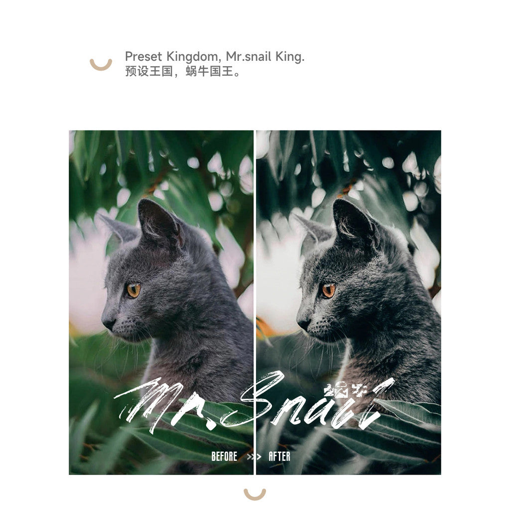 📸 Mr.232 Green Moody Capcut - Lightroom Preset (PS, PR, YouTube)