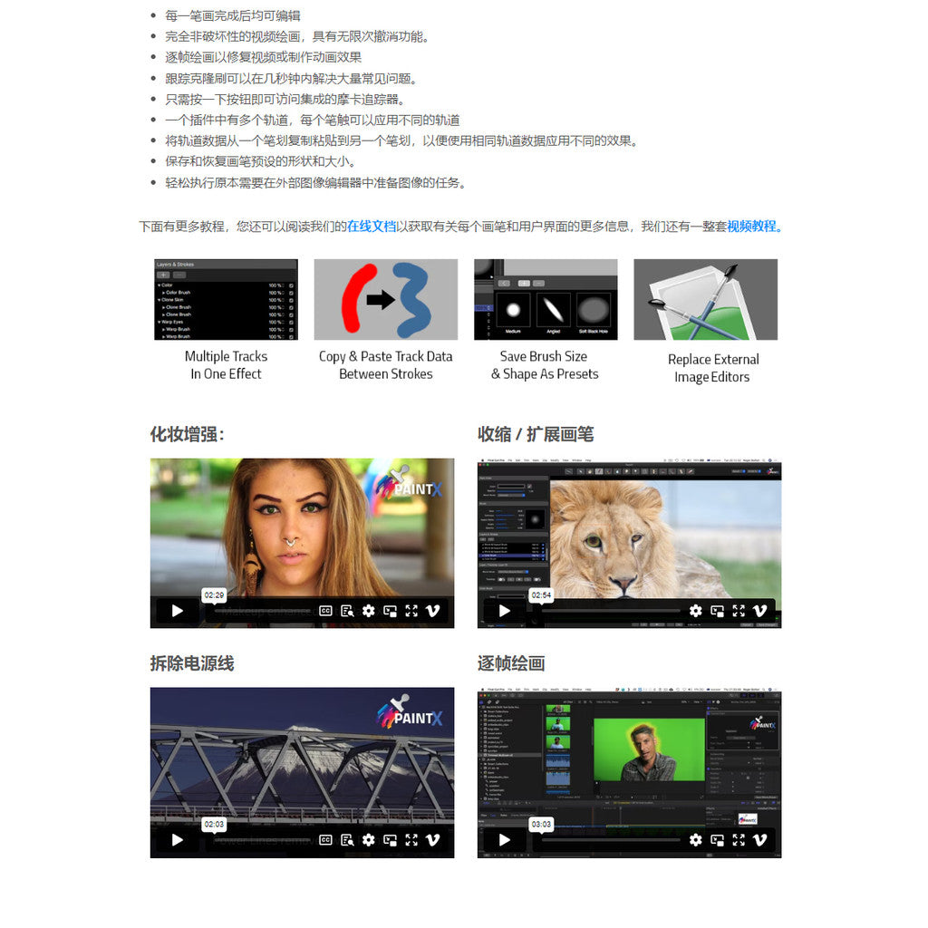 FCPX | 💄 PaintX – Face Slimming, Skin Retouch & Beauty Plugin Tracking, Acne Removal & Body Reshape [MICHIGO STUDIO]