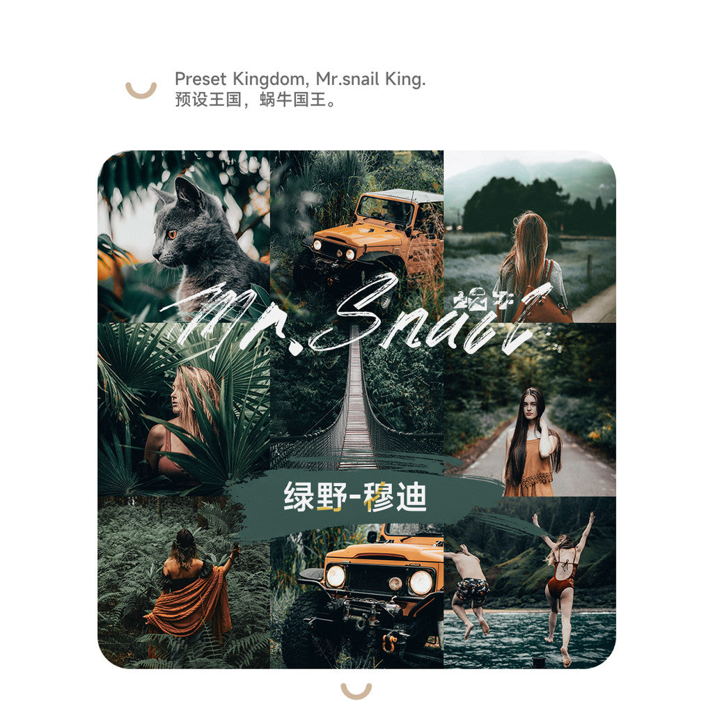 📸 Mr.232 Green Moody Capcut - Lightroom Preset (PS, PR, YouTube)