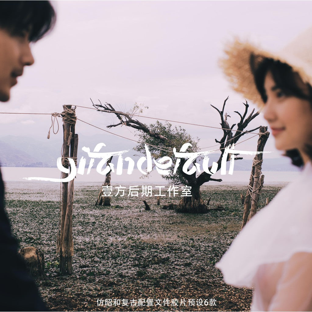 📸 Pixelcake PR Japanese Showa Style - Lightroom Preset (6 Types, Mobile, PS, Capcut, PhaseOne)