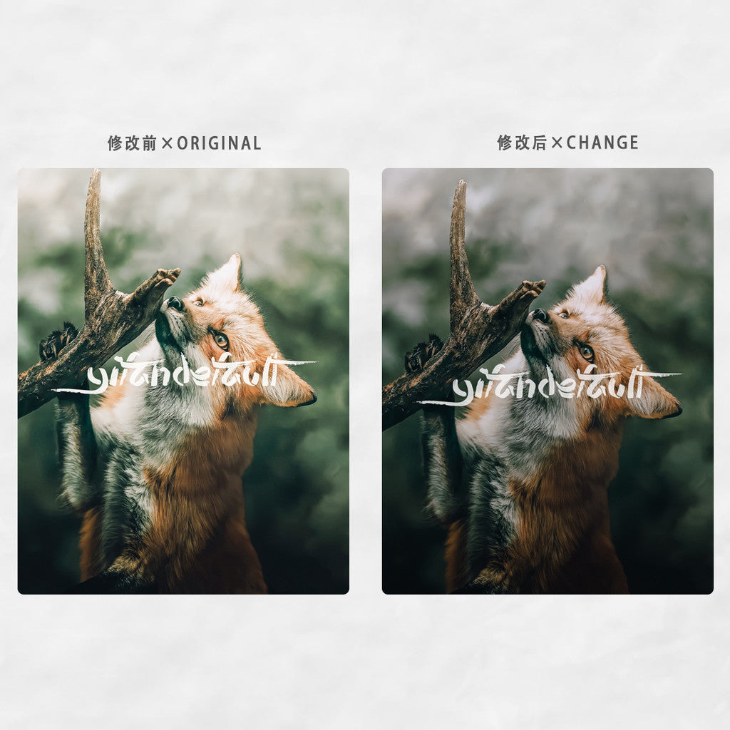 📸 Pixelcake LR Preset Movie Deep Green - Lightroom Preset (50 Types, PS, PR, DaVinci, Capcut, PhaseOne)