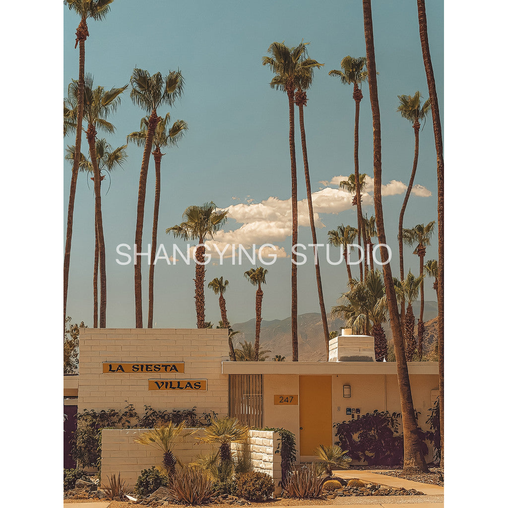 📸 LR Los Angeles City Atmosphere – Lightroom Preset (PS, FCPX, Mobile, PR, DaVinci, VN, Capcut)