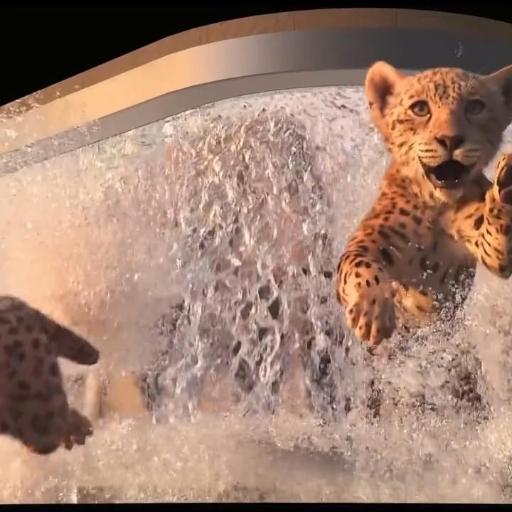 🎥 VJ LOOP | Naked-Eye 3D Leopard LED Screen Visual for Club/Outdoor Show 🐆🎬 [MICHIGO STUDIO]