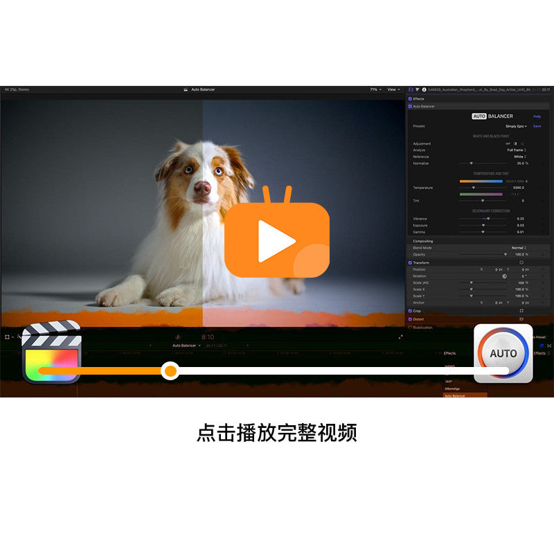 FCPX | 🎛️ Auto Balancer – Automatic White Balance & Color Tone Plugin for Final Cut Pro (M1 Supported) [MICHIGO STUDIO]