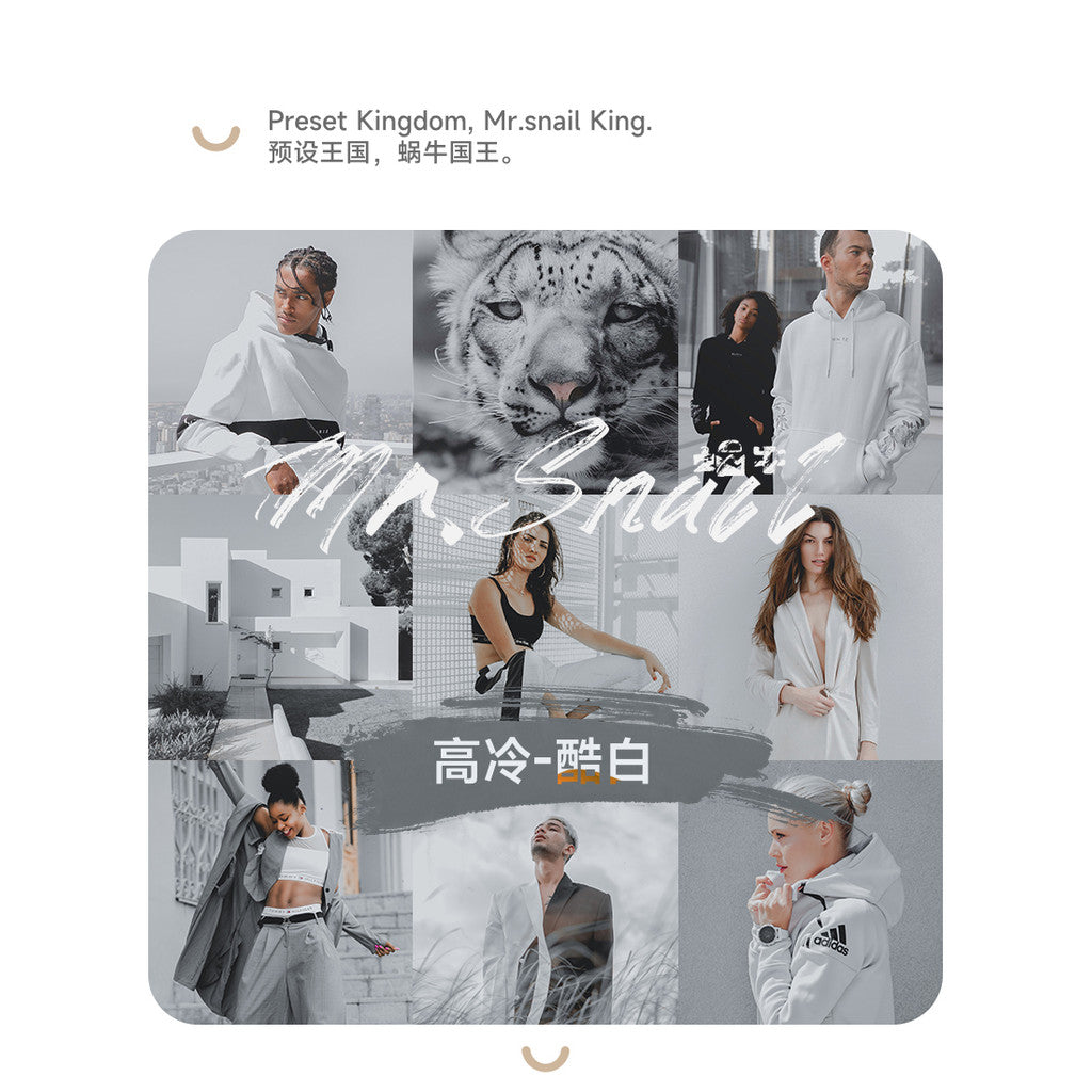 📸 Mr.234 Cold Chic White - Lightroom Preset (FCPX, Capcut, PS, Portrait, Wedding)