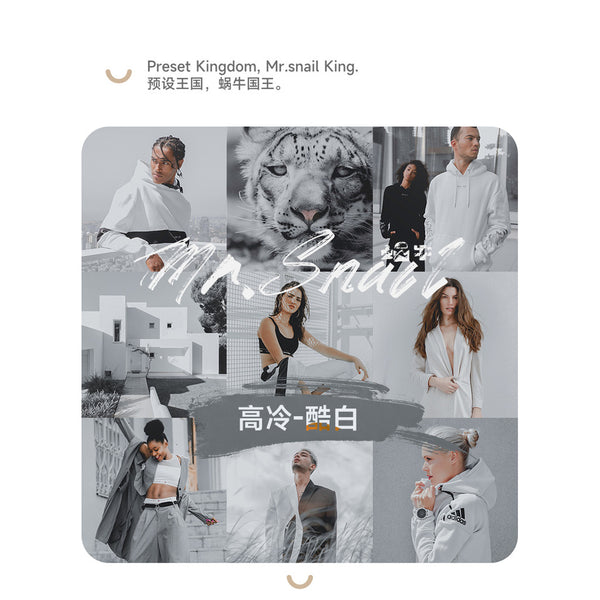📸 Mr.234 Cold Chic White - Lightroom Preset (FCPX, Capcut, PS, Portrait, Wedding)