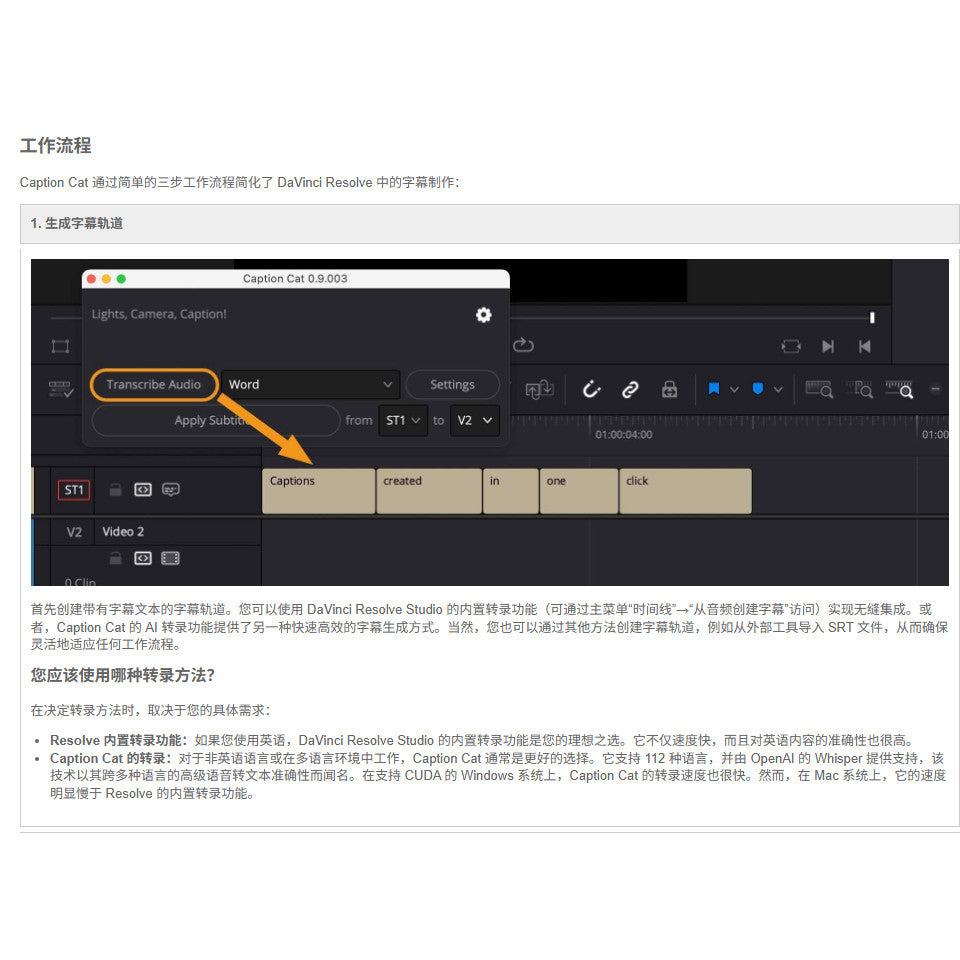 📝 Caption Cat | Auto Subtitles Generator (Video/Audio, CN, Mac/Win) [MICHIGO STUDIO]
