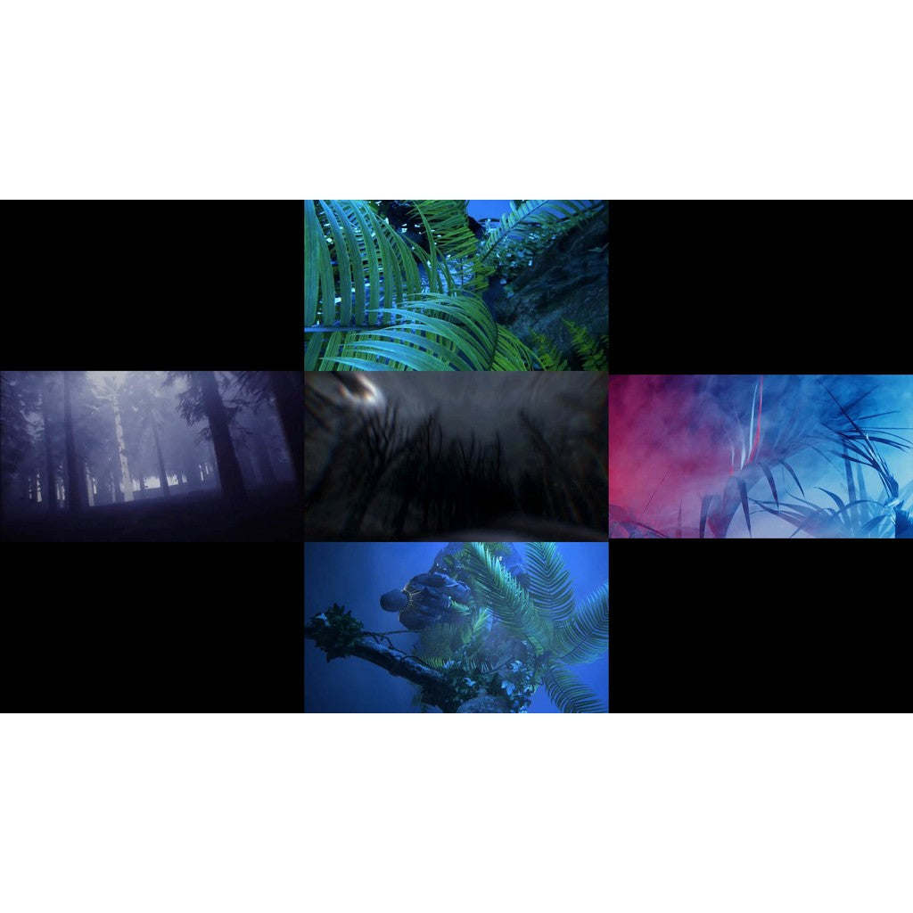 🎥 VJ LOOP | Jungle Forest Party Rhythm LED Club Visuals 🌲🌳🎉 [ MICHIGO STUDIO ]